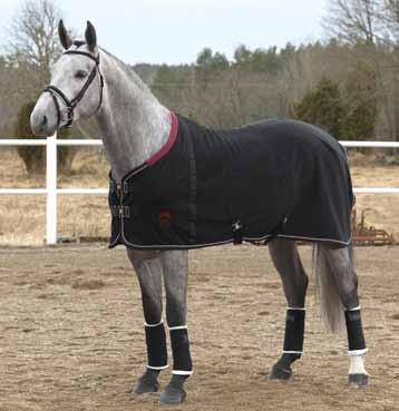 599,- 3000 MWT 3000 MM 1000 D 3000 MWT 3000 MM Höga bogveck med resår Kardborre och dubbla bogspännen med snabbknäppe Kryssgjordar med resår Svansskydd Avtagbara elastiska bensnören Avtagbart