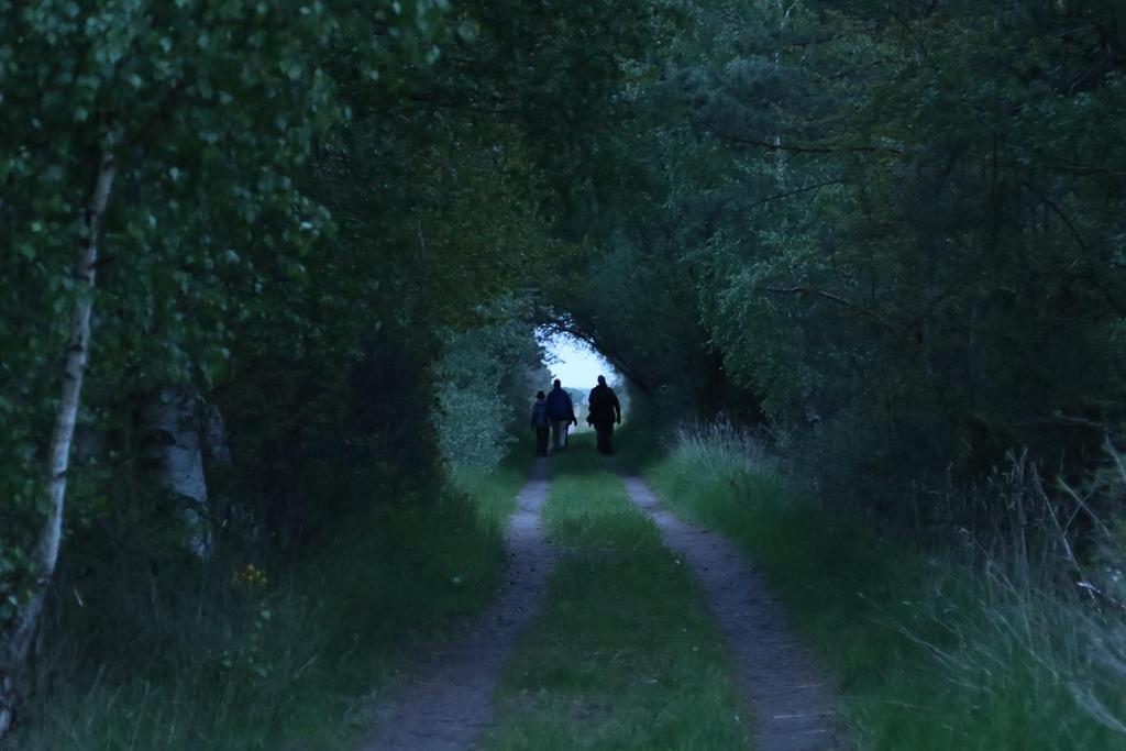 Ölandsresan 19-22 maj 2016 Text: Håkan Steen Nattlig promenad vid Penåsa. Här hördes nattskärra, morkulla och enkelbeckasin bland annat.