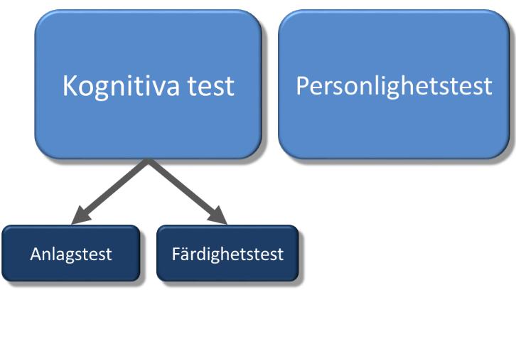 För att ge en överblick fokuserar vi därför här på kognitiva tester och personlighetstester, väl medvetna om att det inte omfattar alla testtyper När du ska välja vilket test du ska använda i ett