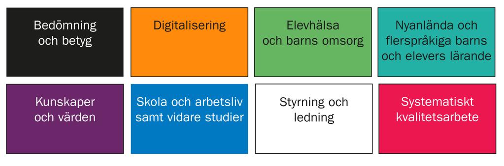 Övriga insatser inom eller med koppling till området Nationella skolutvecklingsprogram (NSP)