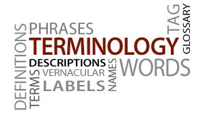 Terminologi Språkstörning Tal- och språkstörning Språklig sårbarhet Försening eller störning The current mayhem in diagnostic labels is unsustainable; it causes confusion and impedes