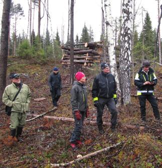 Blädning i granskog, ställande av tallskärm, framhuggning av kulturmiljövärden och huggning i syfte att gynna naturvärden knutna till lövträd är några av de avverknings-former som utförts på delar av