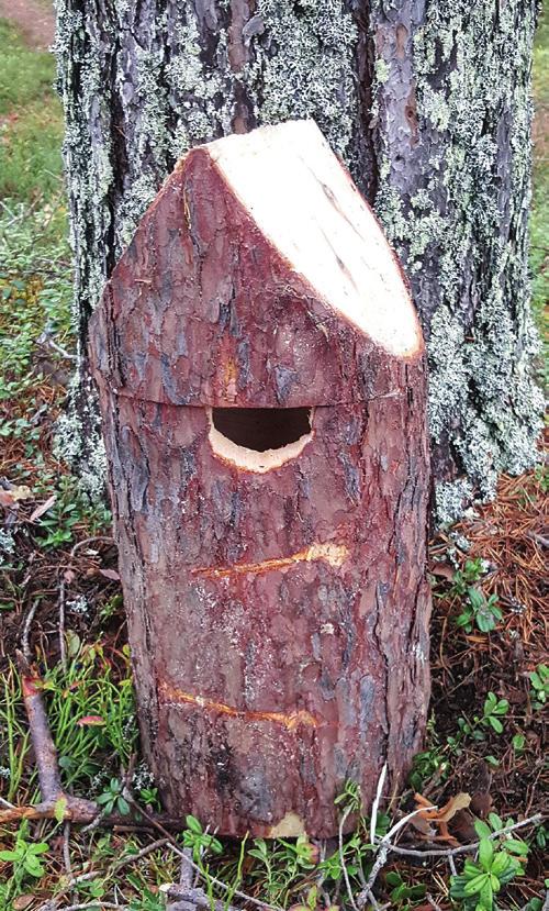 I Jämtland finns nu LAMPA-grupper i Strömsund, Järpen, Krokom, Östersund, Hammarstrand, Gällö, Svenstavik och Sveg med totalt 65 deltagare.