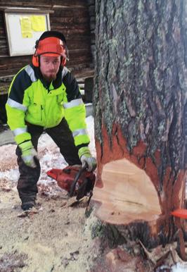 ska bli attraktivare på den gröna arbetsmarknaden.