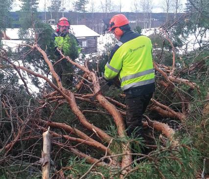 Exempel på sådant som redan gjorts är: Röjning av områden kring idrottsanläggningar och uppeldning av riset.