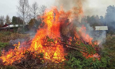 Tillsnyggning av allmänt utnyttjade friluftsanläggning, där det också ska bli eldplatser, campingbord, vindskydd, båtplatser med mera.