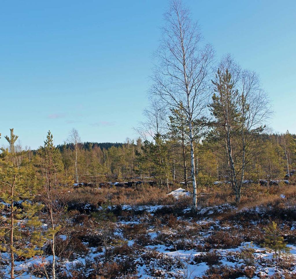 TORVMOSSE VID BLOMBACKA Stor sammanhängande fastighet som ger goda möjligheter till jakt och rekreation, där även juridisk person kan köpa.