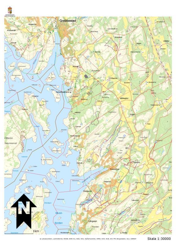 Torrläggningen - Före 1860 - en naturlig våtmark (sjö) som enligt hörsägen hyste flera olika fiskarter. - Ökat behov av jordbruksmark i mitten av 1800-talet.