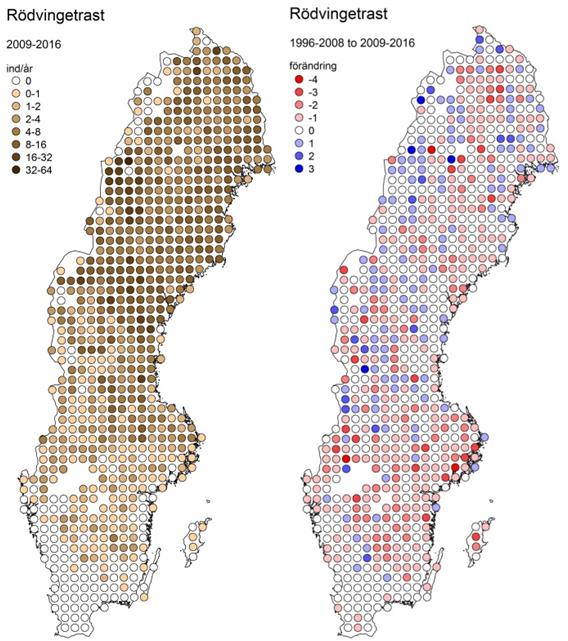 Lappmes. Fjolårets 8 lappmesar på rutter byttes mot 8 fåglar på 5 rutter under 6. Det trendbrott vi anat de senaste åren har möjligen kommit av sig. Entita och Talltita.