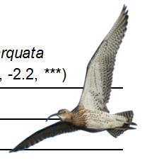 Figur. forts. Populationstrender för 85 arter. Species indices (cont.)..5 Morkulla, Scolopax rusticola (-, -, -; 6,., NS; 57,., NS).5 Storspov, Numenius arquata (-, -, -; 76, -.6, ***; 6, -., ***).