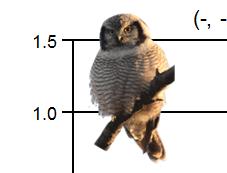 9, NS) 8 6 Småtärna, Sterna albifrons (-, -, -;,.6, NS; 9, -., NS) Tamduva, Columba livia (,., ***; 7,, NS; 6,.8, NS) Skogsduva, Columba oenas (-, -, -; 7, -.