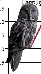 Figur. forts. Trender för fåglar räknade på natten. Species indices (cont.).