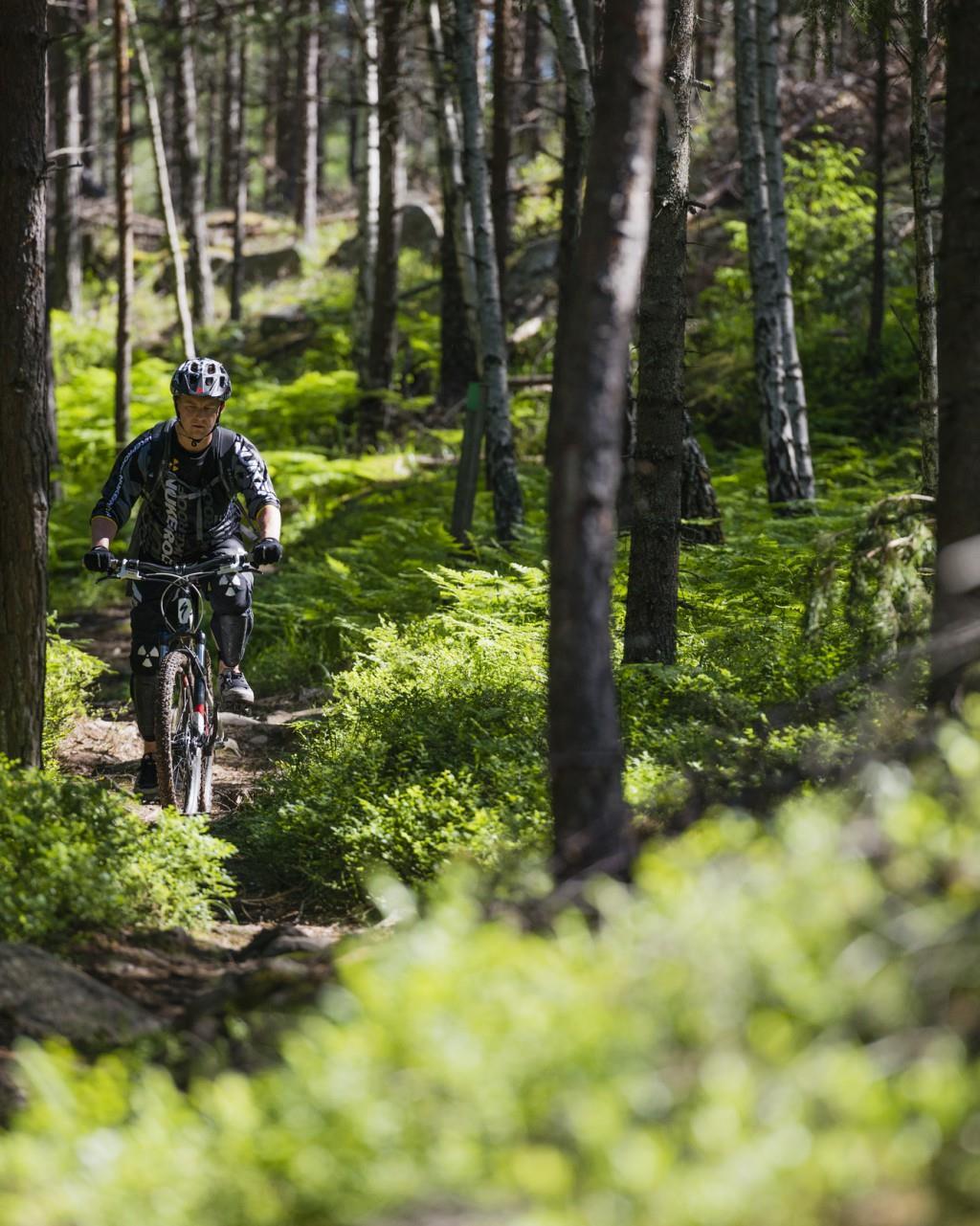 Utvalda regioner = destinationer med attraktiva besöksmål inom kultur och natur Region Blekinge Region Dalarna