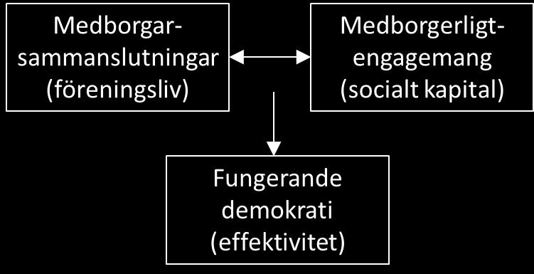 genom en livskraftig ideell sektor som det sociala kapitalet kunde växa sig starkt, vilket i sin tur skapade förutsättningar för en fungerande demokrati (jfr Norberg 2004).