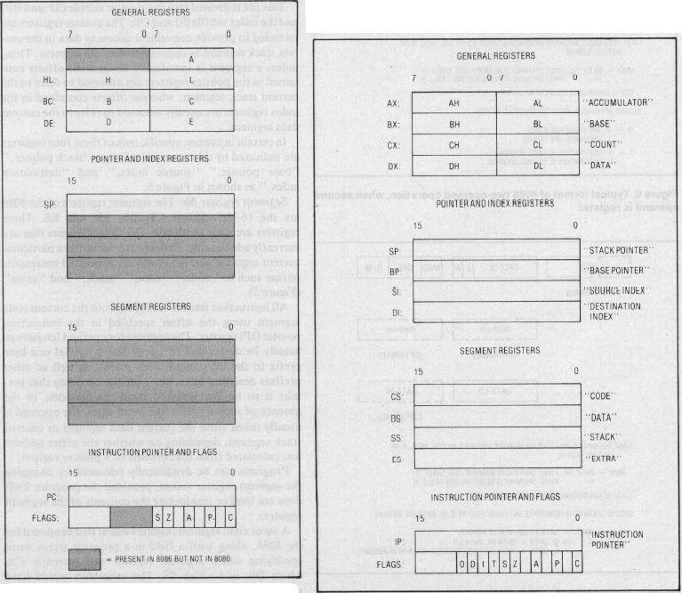 8080:an hade ett fåtal 16 bitars operationer, add, load och shift men 8086:an blev Intels första riktiga 16 bitars processor.