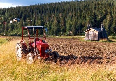 SAMMANSTÄLLNING 2 Skötselåtgärder som krävs för vissa värdefulla landskapselement Värdefullt landskapselement Skötselåtgärder Allé Lövträd ska hållas fria från stamskott och i förekommande fall