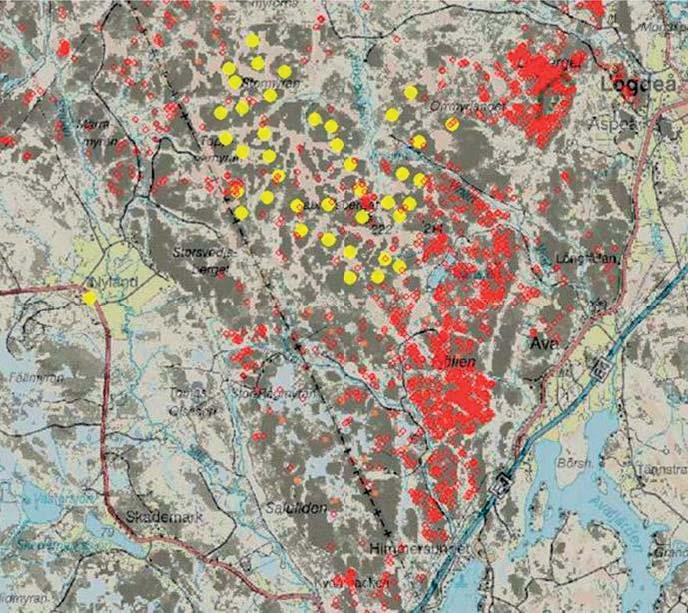 Figur 7.4.1.2. Utsnitt av marklavsskattningen (kapitel 6.1) för ett lavrikt kustnära område i kombination men andra data i RenGIS kategoriträd.