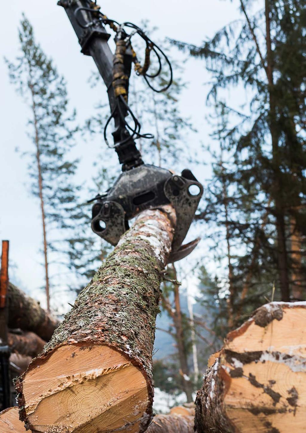 Stabil avkastning från finsk skog Skog är ett placeringsobjekt som bevarar sitt värde väl och erbjuder stabil avkastning. Den lämpar sig väl som en del av de flesta placeringsportföljerna.