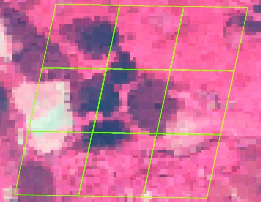 Studier av skogsstörningar SPOT image Angrepp av ungersk gransköldlus, Skåne, 2010 damage MODIS Grid Skador MODIS NDVI Olsson et al. 2012, For. Ecol.