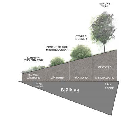 Överbyggnad Landskapsarkitektens ansvar brukar omfatta allt som ligger ovanpå tätskikt och isolering, överbyggnaden, där rotskydd (eventuellt), dränering, växtbädd och vegetation ingår.