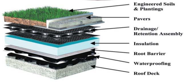 Intensiva gröna tak kan liknas vid nästan vilken markvegetation som helst,