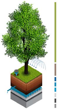 Vegetation Växtbädd & substrat Bevattning, dränering & avvattning Tätskikt, isolering & skyddande lager Vägledningen inleds