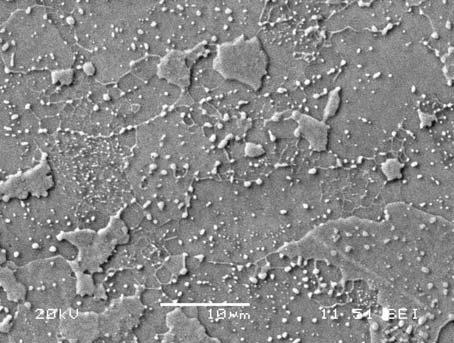 (a) Figur 18: SEM bilder av CK40 stål a) efter 8 timmars glödgningshålltid, b) efter 9 timmars glödgningshålltid. (b) 5.1.2 U200 CK45, Kallvalsad CK 45 stålet har något lägre reduktionsgrad och högre kolhalt i jämförelse med CK40 stålet.