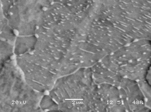 Figur 20: CK45 stål (2.4mm) efter 9 timmars hålltid 5.1.