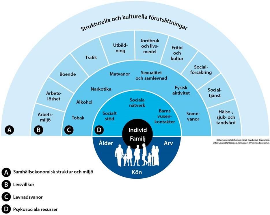 Hälsans sociala bestämningsfaktorer,