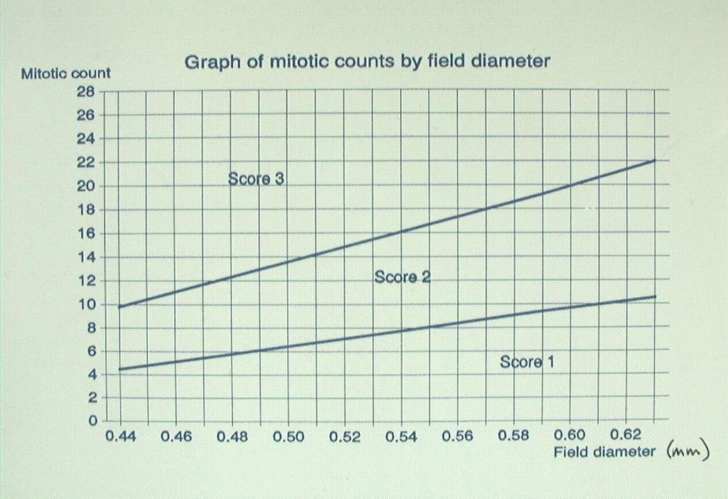 2.1.3 Mitosgrad Räkna mitoser med x40 objektiv inom de mest proliferativa och atypiska områdena, s k hot spot. De mest proliferativa områdena är oftast belägna i cancerns periferi.