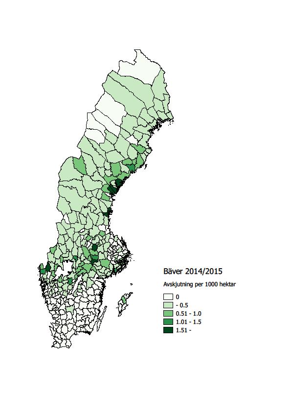 Västernorrland Många jägare har testat bäverjakt Relativt få intresserade bäverjägare Allmän jakttid: Norra Sverige till Dalarna