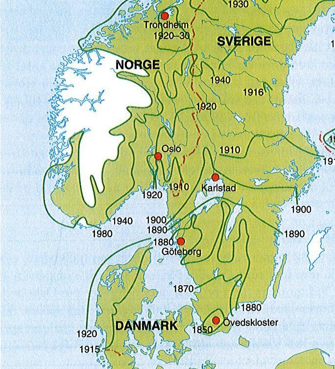 RÅDJURET EN SPRIDNINGS- ART SOM KOMMER IGEN!