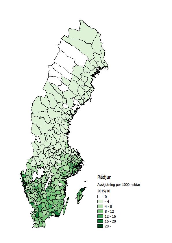 ALLMÄN JAKTTID IDAG I HUVUDSAK ENLIGT BESLUT 1991 RÅDJUR AVSKJUTNING PER 1000 HEKTAR 2015 Exempel Gävleborgs län: 1 maj 15 juni vårjakt hornbärande djur vak- och smygjakt kula (5 /21 län) 16 aug 30