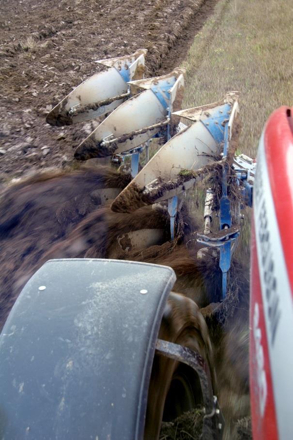 auto Jämna ut