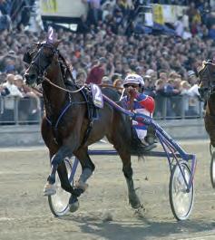 År Publik Omsättning 1952 16 788 1 363 957 1953 14 912 1 285 250 1954 13 031 1 328 771 1955 14 273 1 448 259 1956 13 477 1 627 214 1957 12 267 1 517 374 1958 10 881 1 587 993 1959 11 590 1 477 362