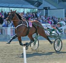 12,0/1660 2014-Mantorp Magic Tonight 1.09,5a/1640 2014-Färjestad kallblod Äldre ston Lundås Emelie 1.23,7a/1640 2007-Dannero Äldre hingstar och valacker Järvsöfaks 1.