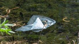 Eventuella matrester skrapar du av i behållaren för matavfall. Dricksglas och fönsterglas kan slängas i behållaren för glas Detta påstående är FALSKT.