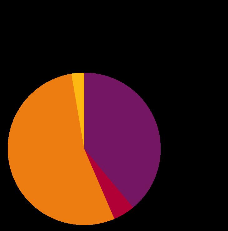 beslutsgrund Skyddsbehov 54 %