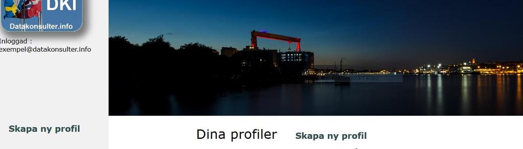 7. Skapa profil Begreppet profil kan ha lite olika innebörd beroende på om du är enskild konsult eller konsultsäljare.