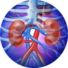 hämmare + metformin: Xigduo (metformin + dapagliflozin)