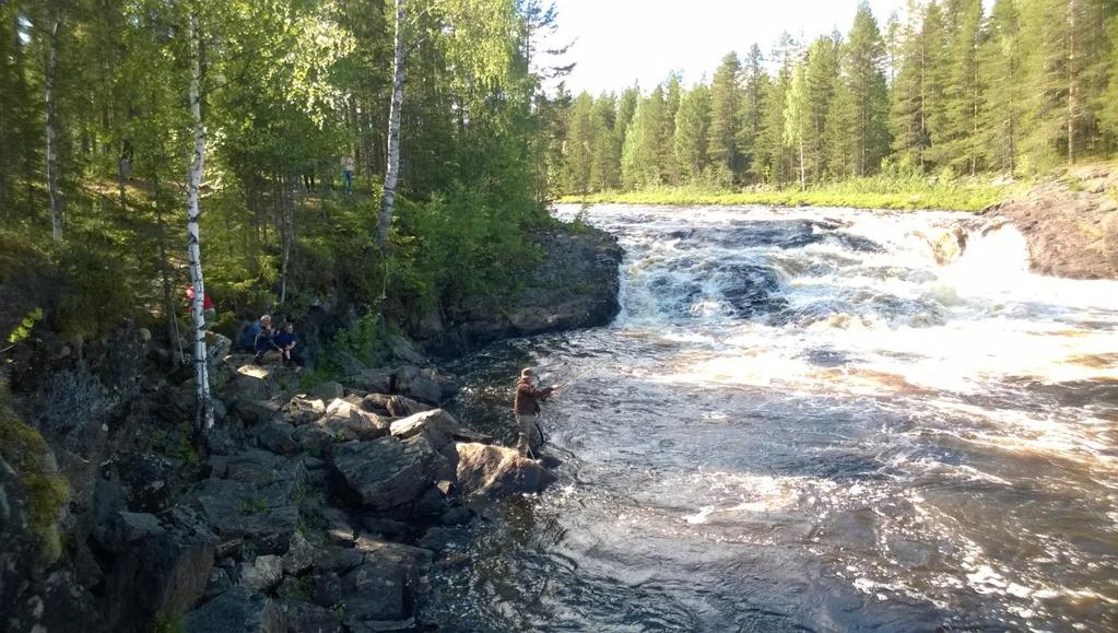 30/5 Finland100-informeringsträff, Pia Marttinen värd, Haparanda kommunhus, Sallisalmi 7/6 Arkivarieträff, länsstyrelsen i Norrbotten, Ahlstrand 14/6 Vandringsfiskinfo, Kukkolaforsen i Finland,