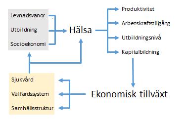 Figur 10.1 Relationsdiagram över hur hälsa kan påverka ekonomisk tillväxt. Efter Suhrcke, McKee, Arce, Tsolova and Mortensen 2005 (4).