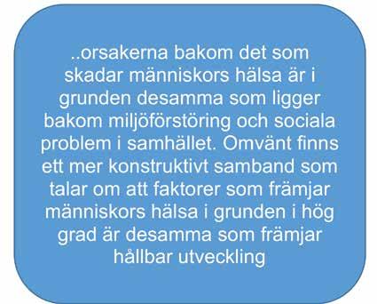 Samband som dessa leder in på en förståelse för att kronisk stress och belastning samt dålig hantering av detta är av negativ betydelse både för människors hälsa och för samhällets hållbarhet.