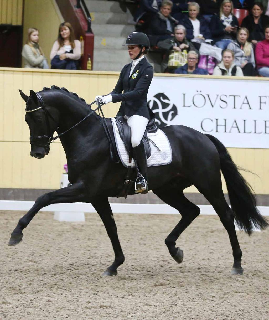 Van Vivaldi 1286 Fantastisk häst den utländska gästdomarens sammanfattande kommentar om Van Vivaldi efter segerritten i Breeders Trophy 2016.