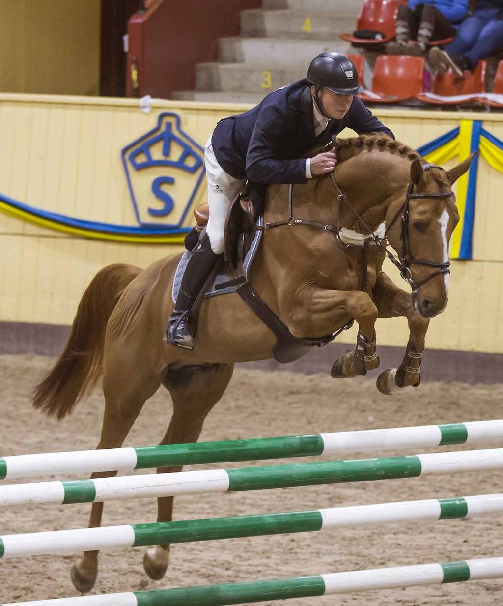 Cayenne de Clarence 1352 Cayenne de Clarence en exceptionell hoppförmåga med en fulländad balans i sin galopp och hoppning. Cayenne de Clarence har en rytmisk, aktiv och reglerbar galopp.