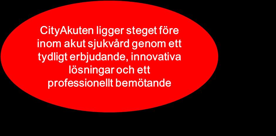 Vision och Affärsidé Vision Vår vision vägleder oss i vårt kort- och långsiktiga beslutsfattande och vad vi