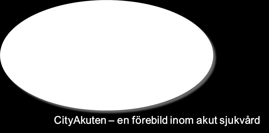 CityAkuten har bedrivit akut sjukvård i trettio år och var en förebild för hur akut sjukvård kan bedrivas när
