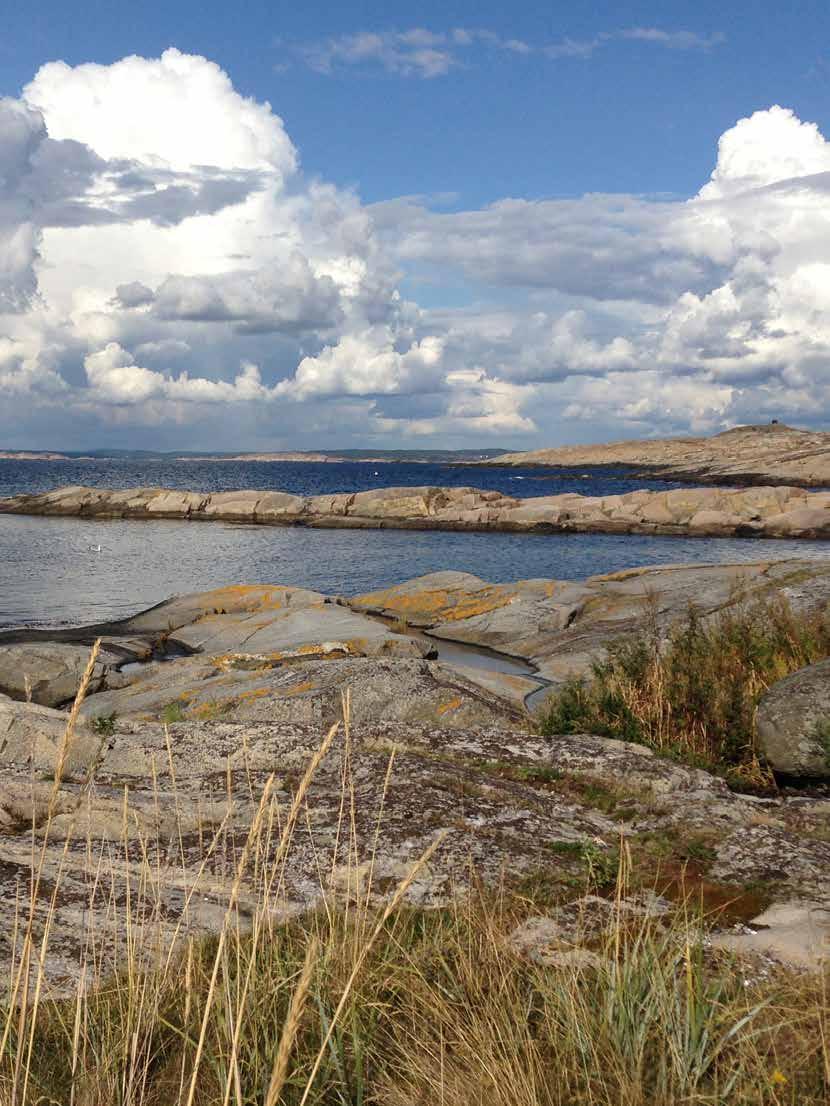 KOSTERÖARNA North Koster offers two marked trails. Experience rubble fields, rocks and sea.