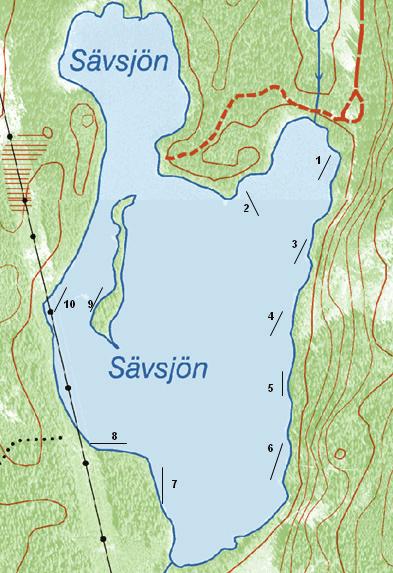 KRÄFTPROVFISKE I JÖNKÖPINGS LÄN 2006 2007 Figur 36. Längdfrekvensdigram för samtliga signalkräftor i Sävsjön under provfisket 2006.