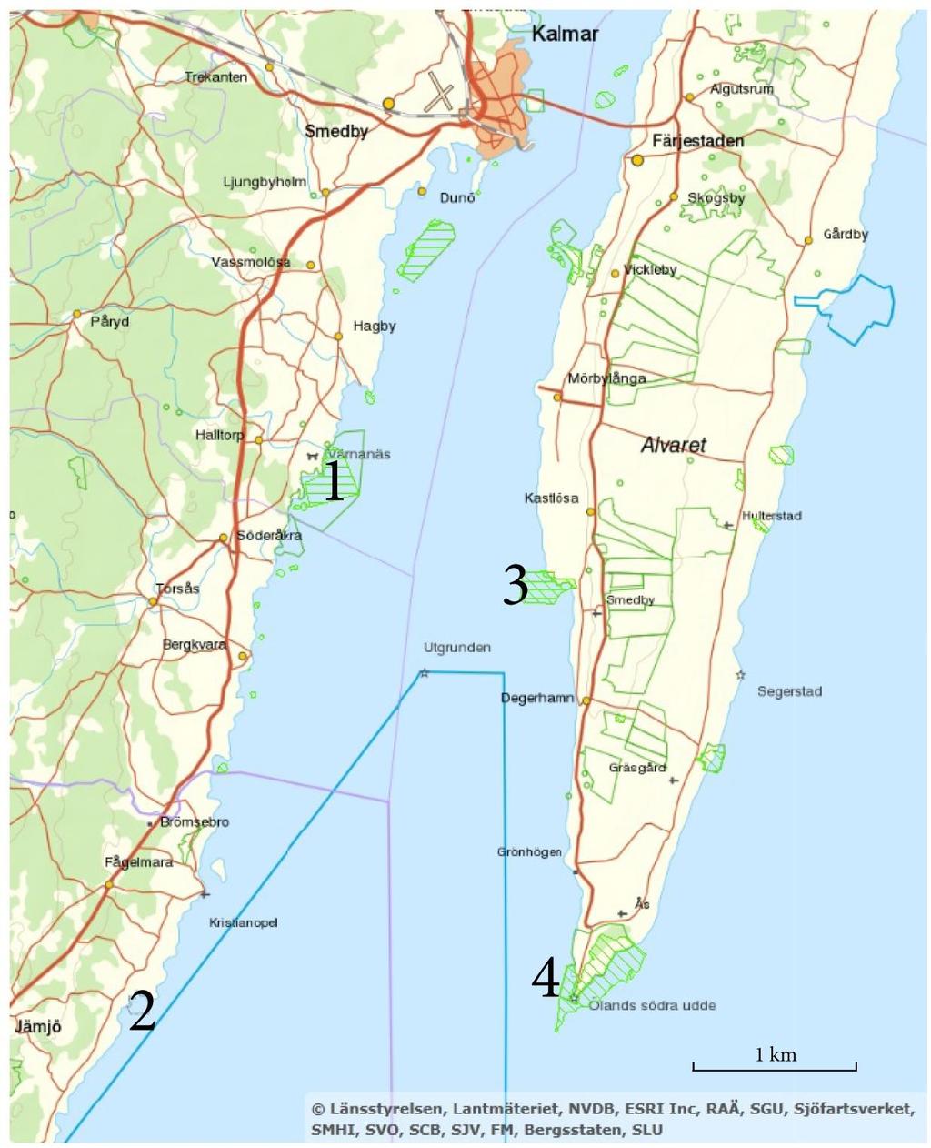 Figur 1. Karta med de fyra områdena markerade som flyginventerades i augusti 20